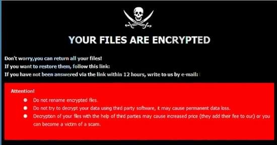 Nomad File Virus Ransomware